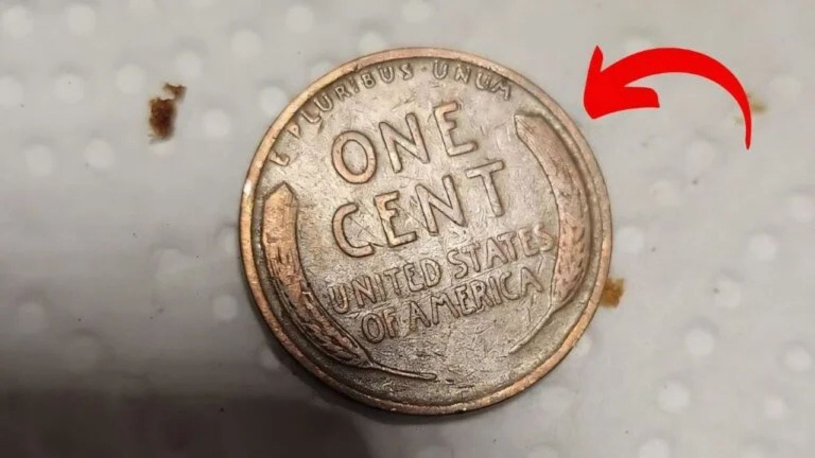 Rare Lincoln Wheat Penny Worth $618K